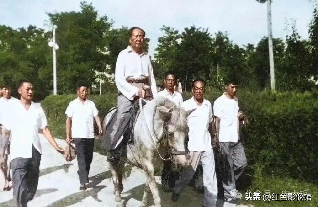 新中国成立之后，毛主席骑马的影像十分罕见。1964年夏季，他在北戴河办公休养期间
