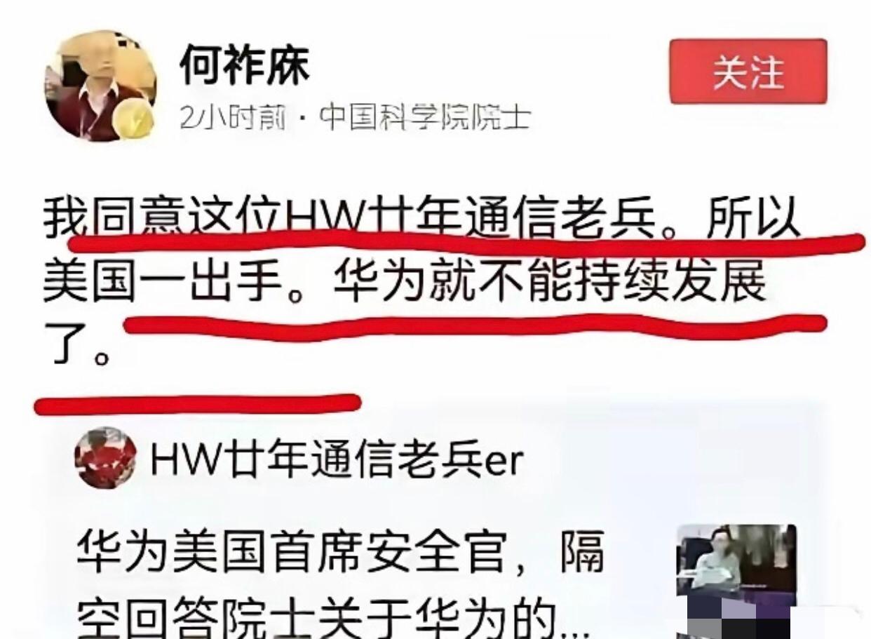 中国科学院院士何祚麻深以为然的表示：只要美国一出手，华为就不能持续发展了。
