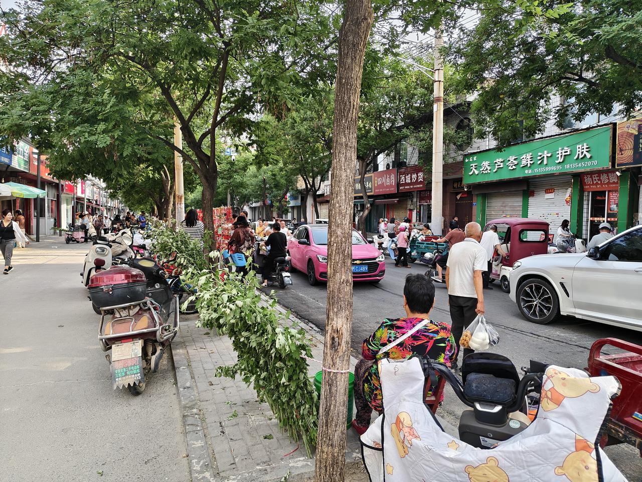 在运城盐湖西街早市口，这几天见到最多的风景就是卖艾草的。一元一把，2元一把的。