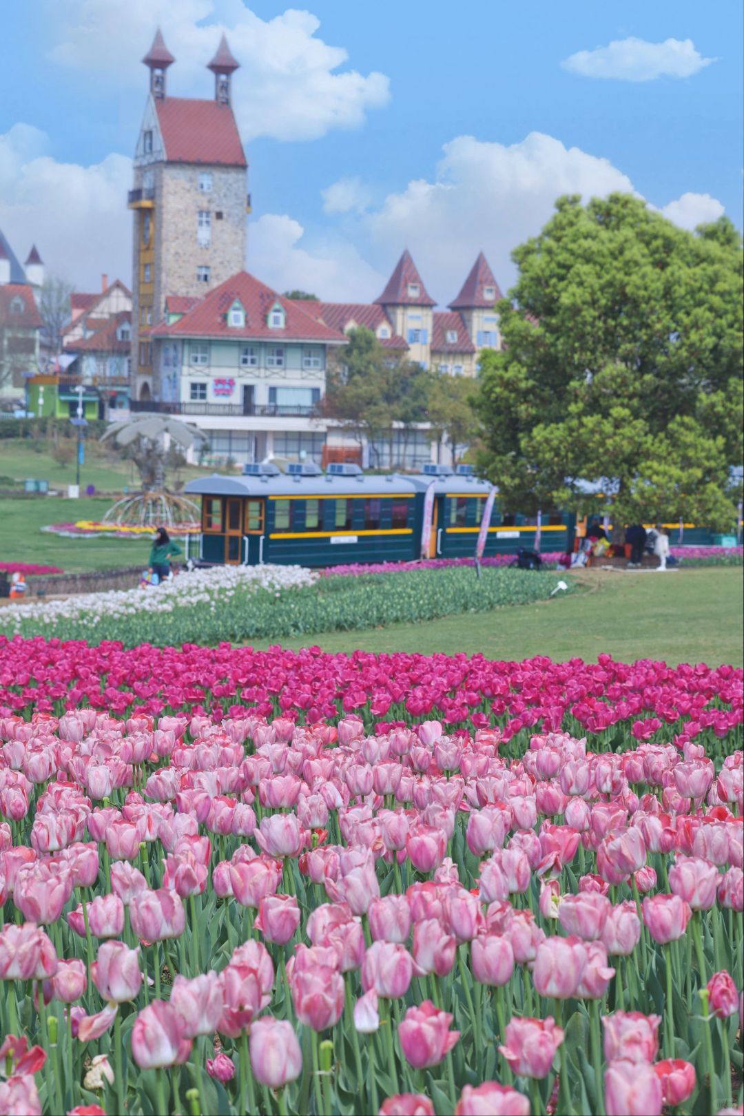 武汉这里遥遥领先❗️白天赏花晚上沉浸夜游