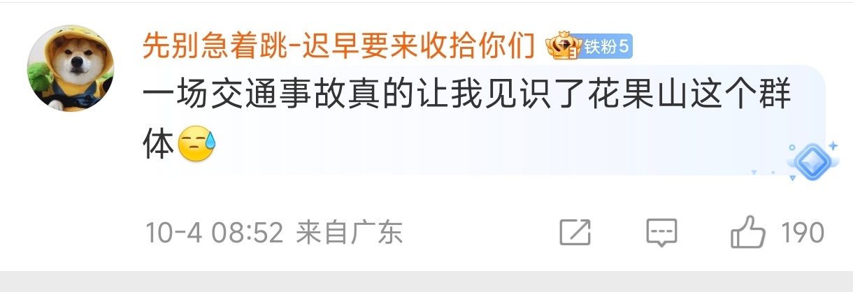 666666，合着口口声声称自己守规矩的车评人出了严重事故是“花果山”的问题 ​