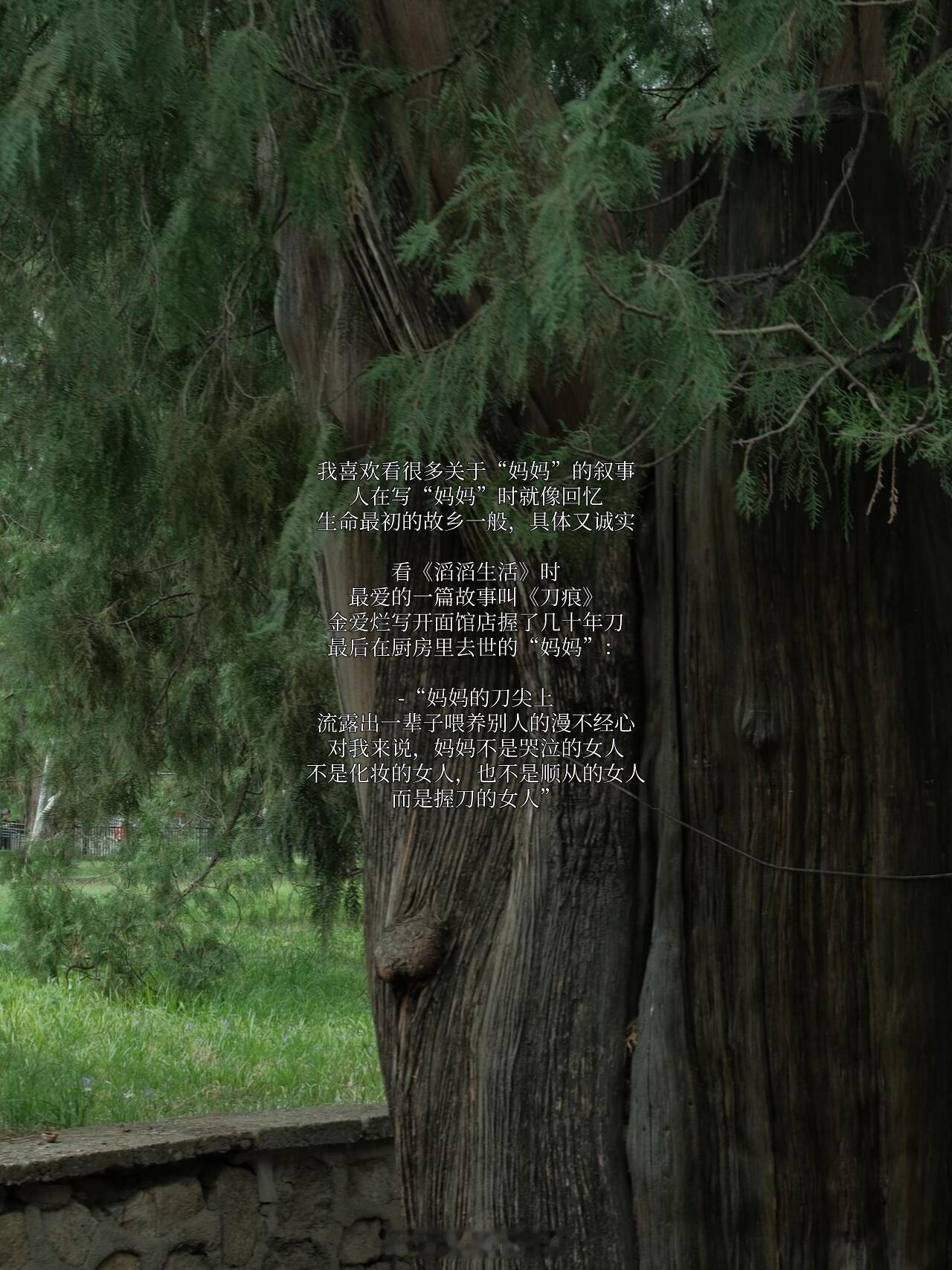 211毕业生当蜘蛛人后很怕同学刷到妈妈是这个世界上最好的语言看到这个母亲想到《滔