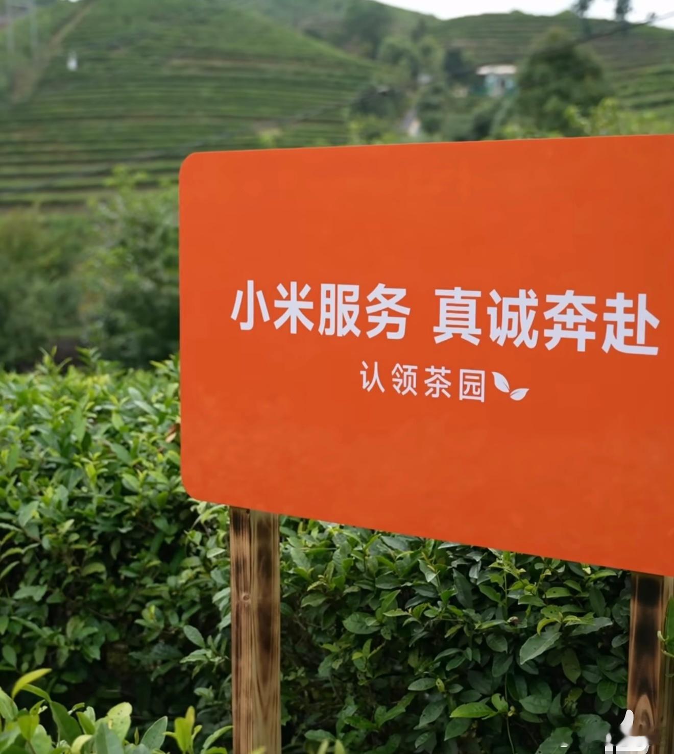 小米服务真诚奔赴 我发现小米每次做公益，都不是那种简单捐点钱就完事，而是真正做到
