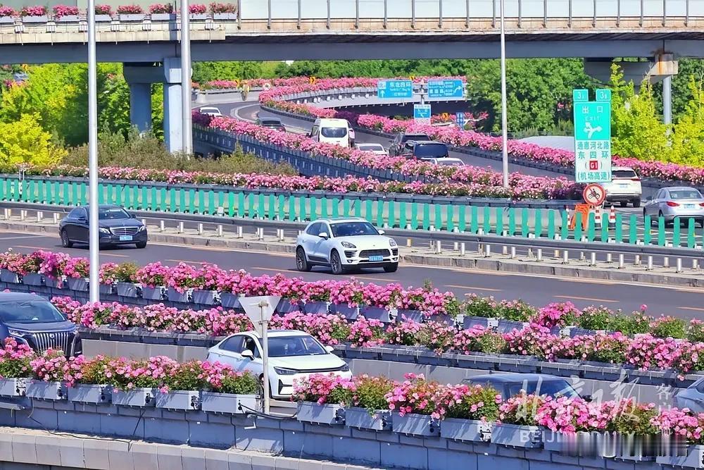 天气平稳，适合出游！

北京5月11日，晴转多云, 东南风转南风＜3级，最高气温