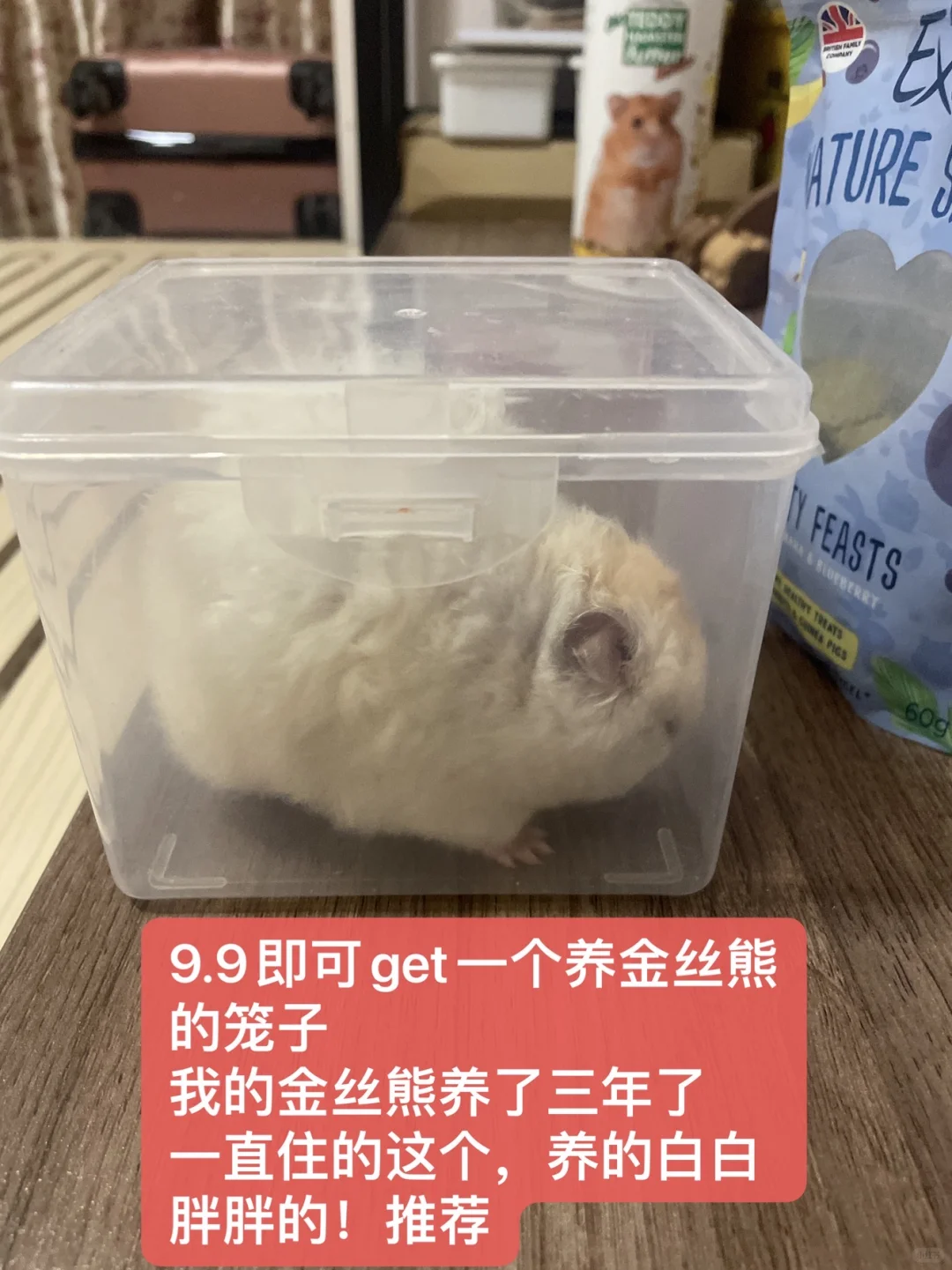 可以用这个小盒子养仓鼠吗