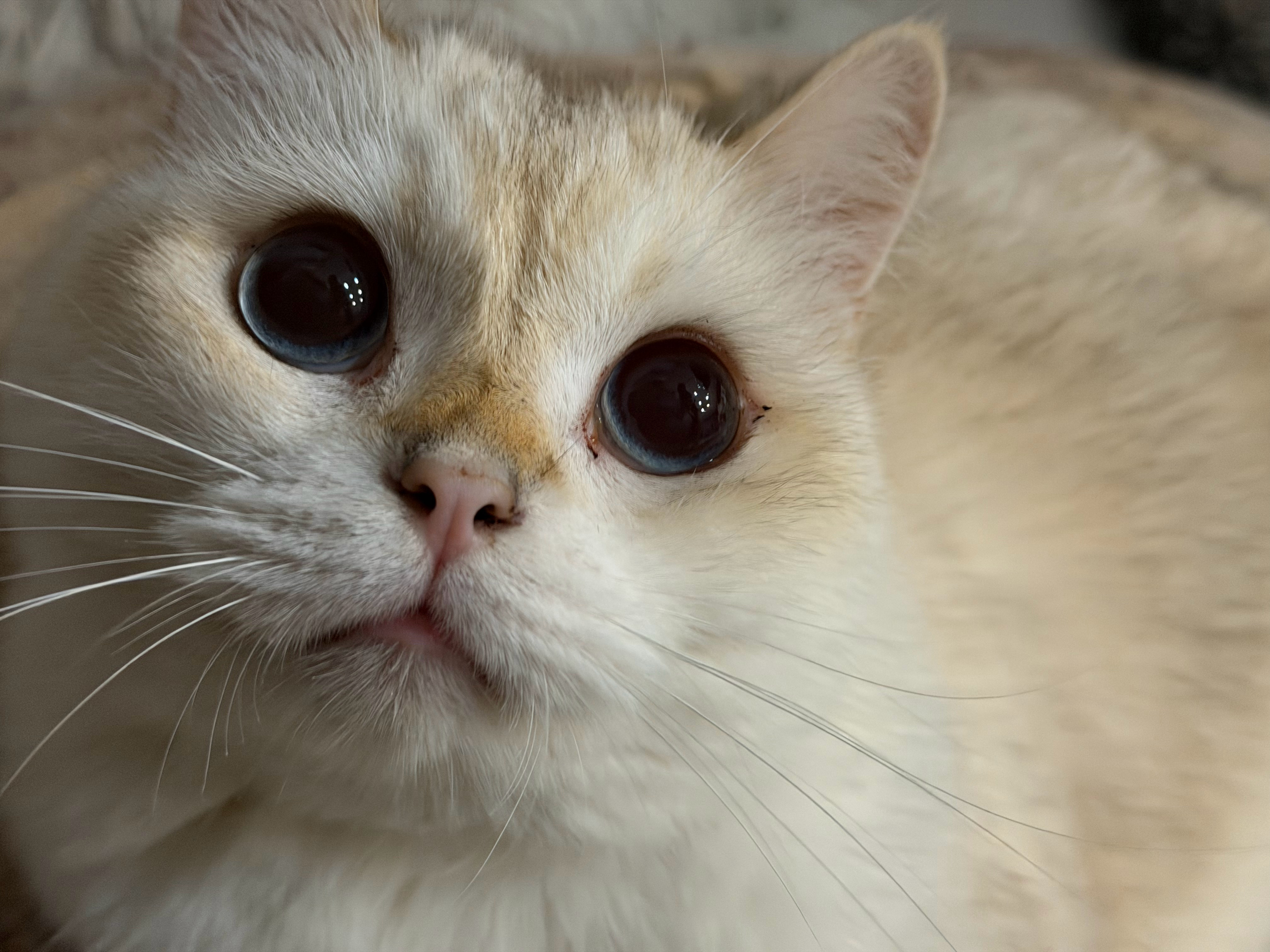 猫宁！土纯风穿搭小白男靠一组清纯写真拿下0.5亿身价优质男主播喽！马上私人包机去