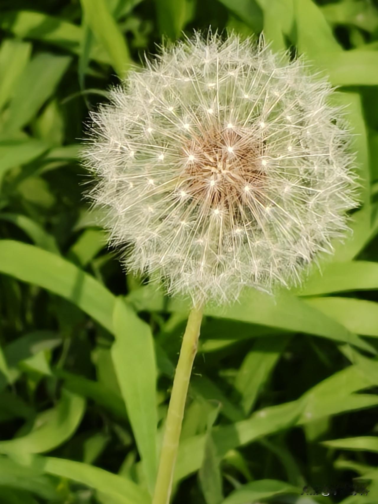 有生以来，第一次住院了，
还是被孩子劝进的。

一次简单的意外，
刚开始没什么太