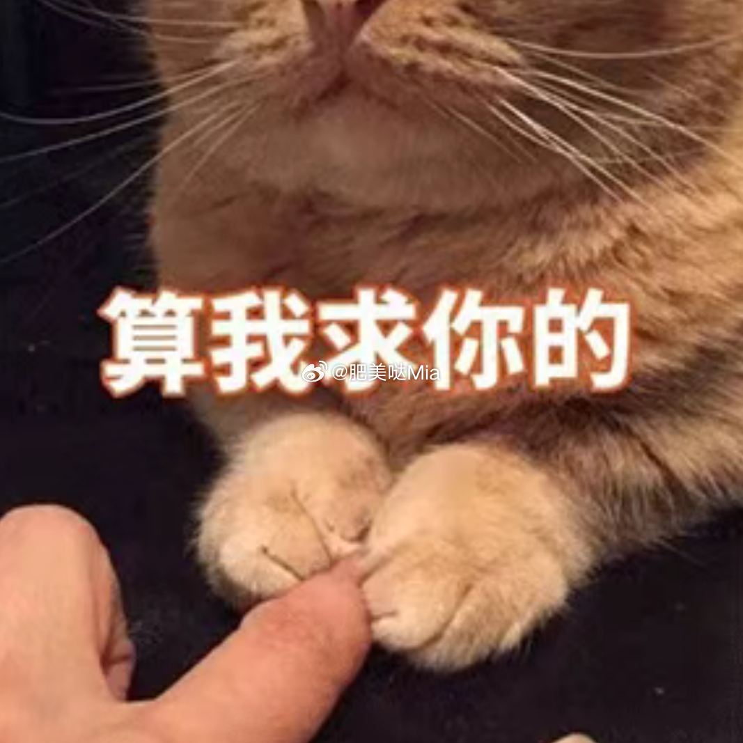大家有什么好看的电子榨菜推荐吗？电影电视剧综艺都可以，最近剧荒到吃饭的时候没有看