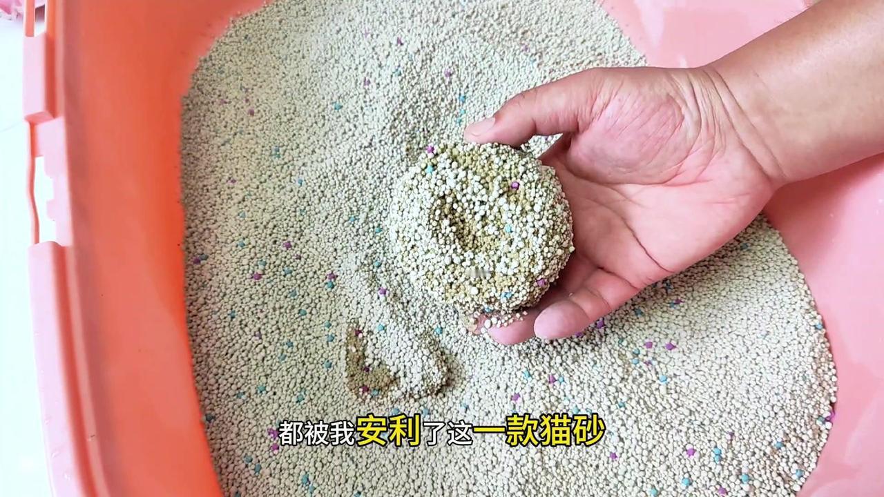 💖作为一个非专业的宠物博主，我一直教大家如何养猫省钱。养猫最大的消耗是猫粮和猫