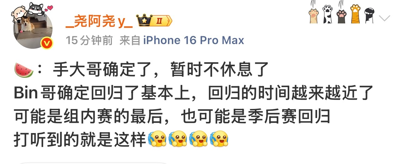 🍉：Bin哥确定回归了基本上，回归的时间越来越近了（可能是组内赛的最后，也可能