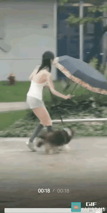 女子对宠物狗的照顾可真是无微不至，估计吃饭都要嘴对嘴的养宠物的女生 喂