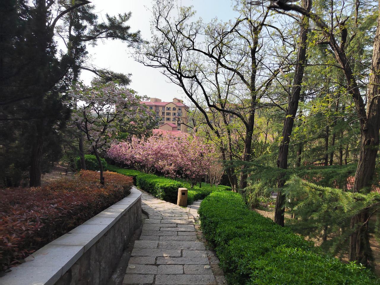 小径花开，春日漫山温柔🌿