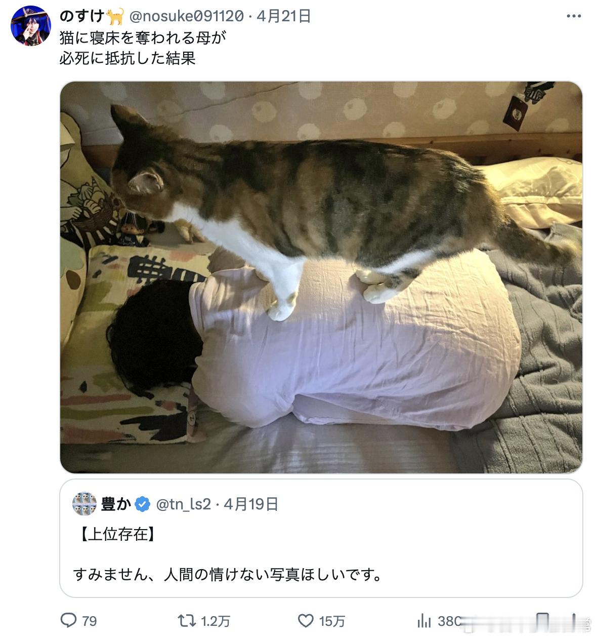 被猫猫占了床的老妈进行了拼命抵抗的结果海外新鲜事 ​​​