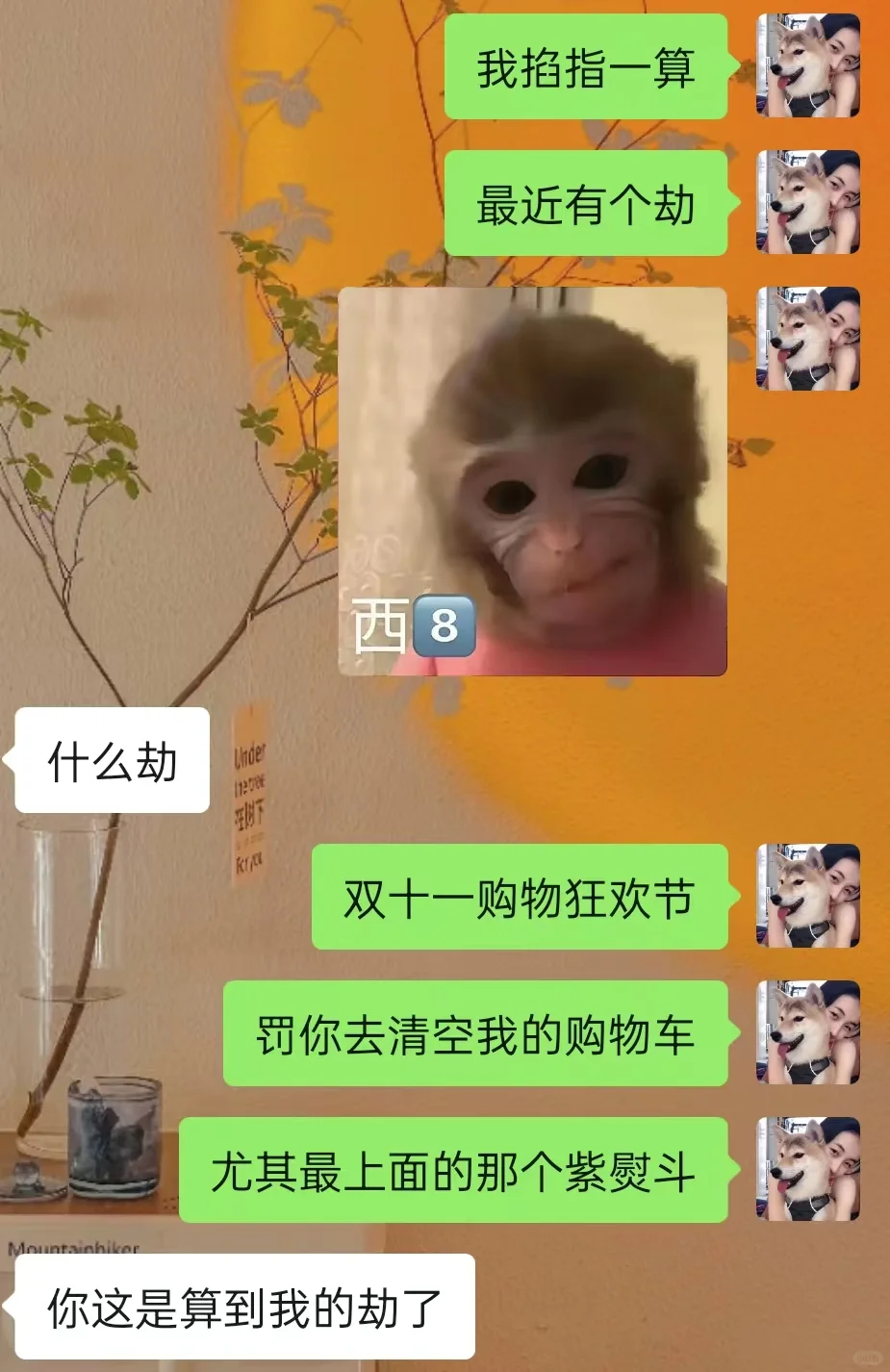 和同频的另一半不玩抽象玩什么