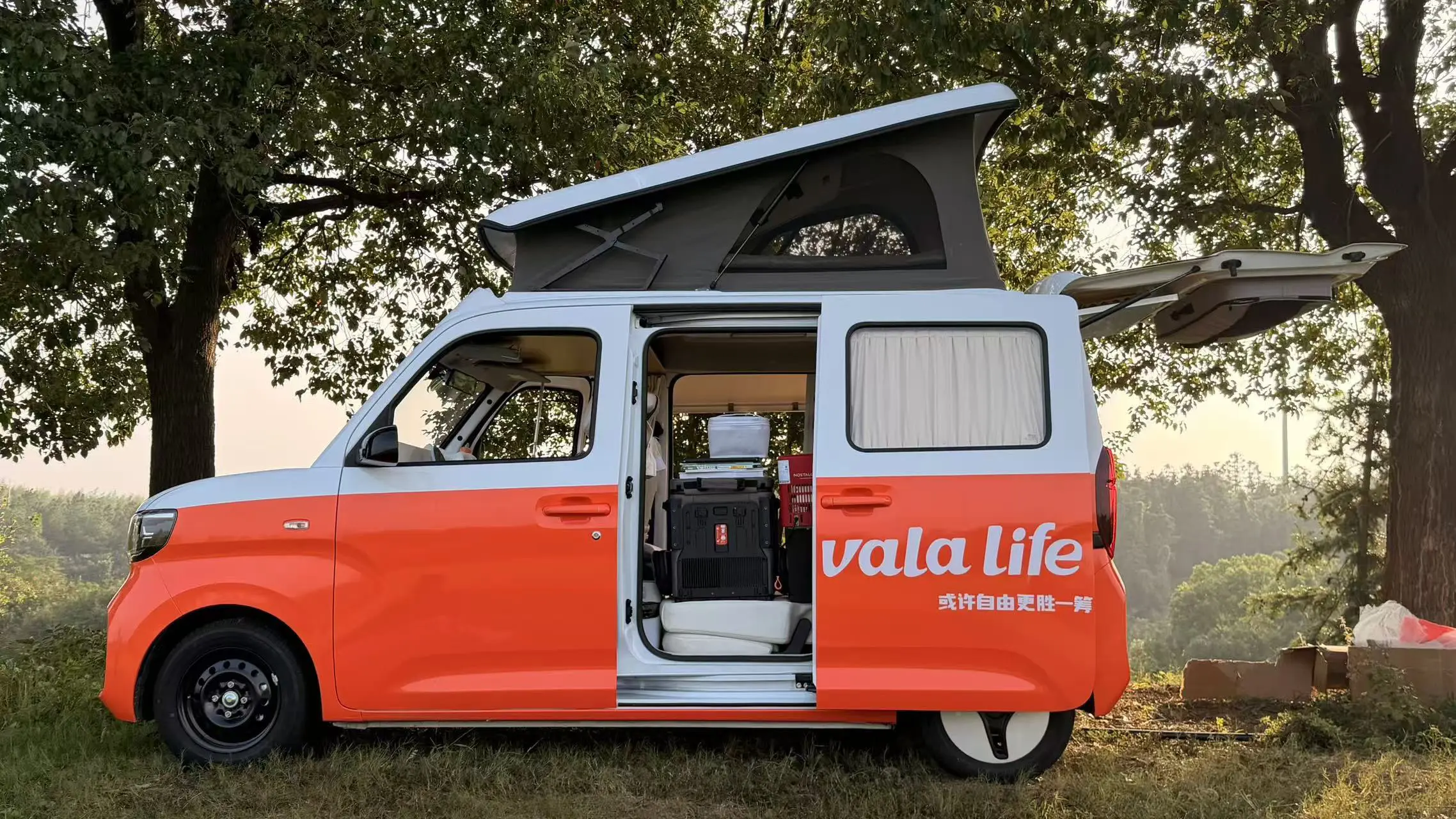 一眼喜欢。vala小小的