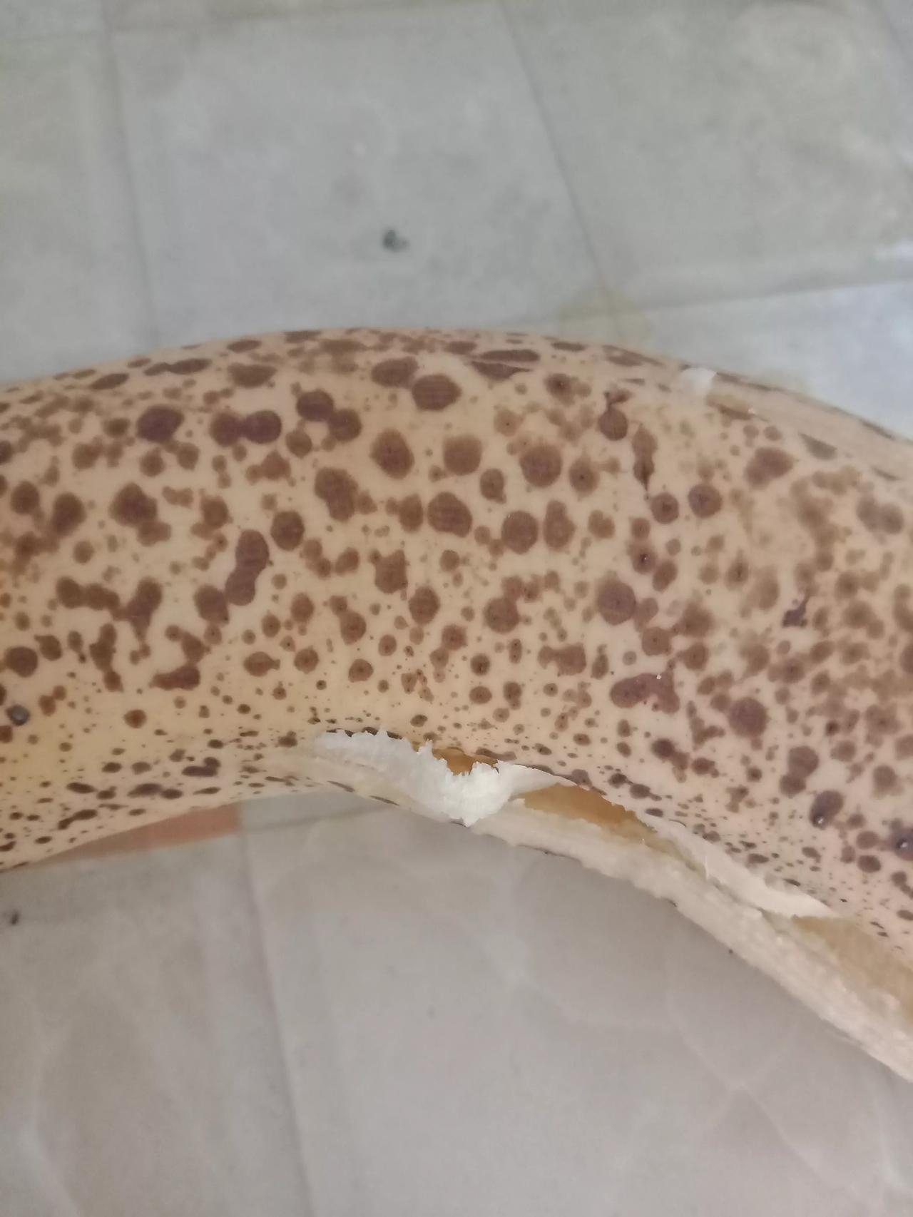 你会买香蕉吃吗？真的会挑选吗？

坏香蕉真好吃，香糯甜。昨天晚上我抱着孩子去超市