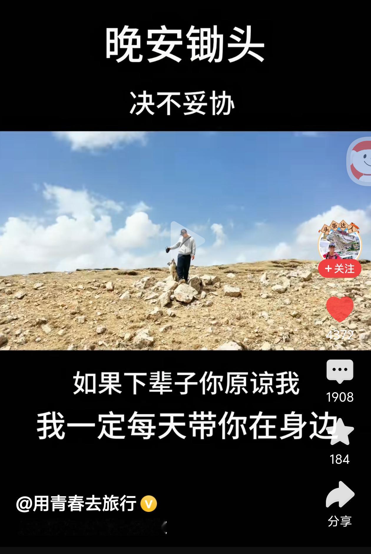 网红边牧“锄头”被偷，然后被180元卖了宰杀谋利，网友异常愤怒，一致呼吁严惩，然