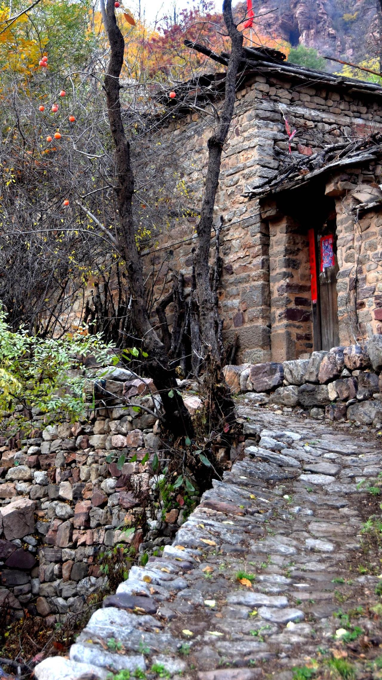 还是那个秋天（一）