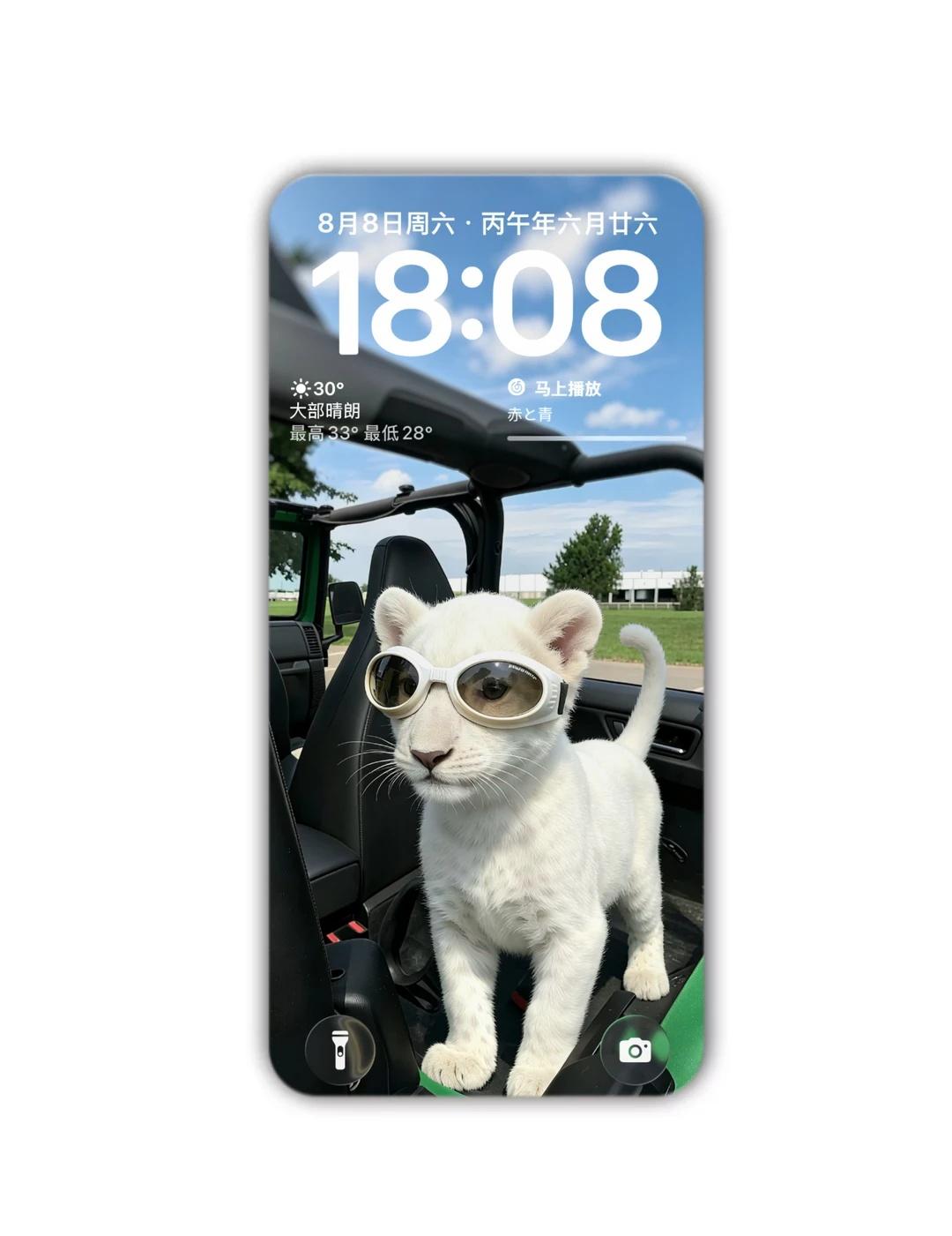 iOS｜小白狮壁纸真的好爱！！！
ios壁纸 你的壁纸该换了 每日更新壁纸 高级