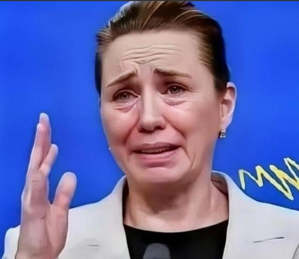 丹麦政府痛恨中国，丹麦的外交大臣拉斯穆森表示，过去不允许中国对格陵兰岛投资，现在