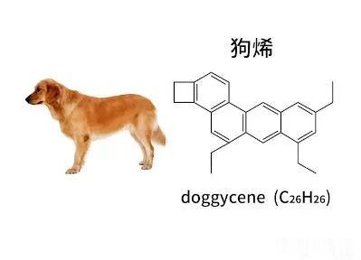 化学家能有多可爱？因为结构式长得像狗，所以他们把这种分子称为“狗烯”，此外自行车