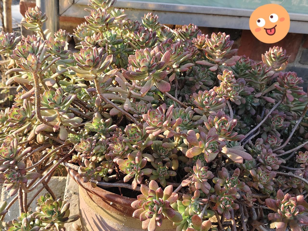 [比心][比心][比心][比心][比心][比心][比心]