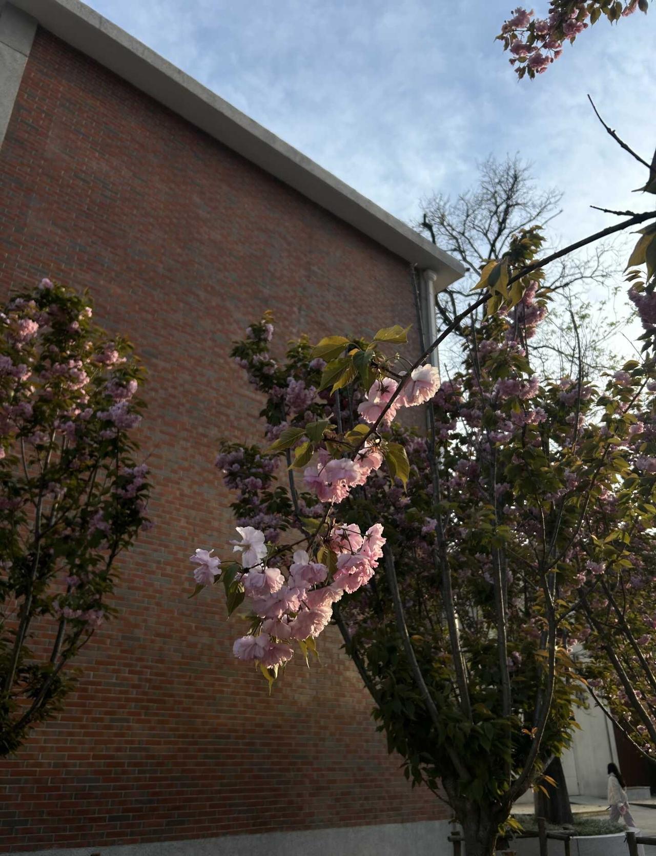 出行两大酷刑！网约车被窝味+高铁移动烟筒🚬
求求了！公共场合别边走边抽了行不行