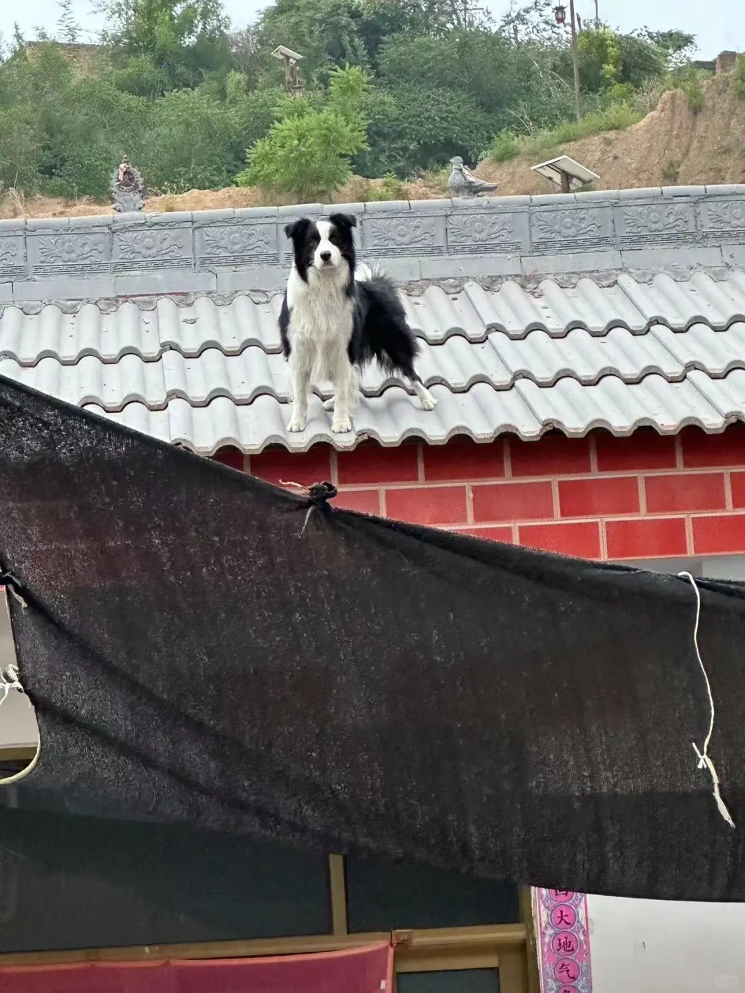 妈，你孩怕吗