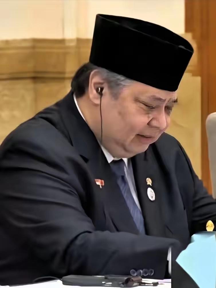 印尼这脸，翻得比翻书还快。
​前几天投资部长罗山、经济统筹部长艾尔朗加接连表态，