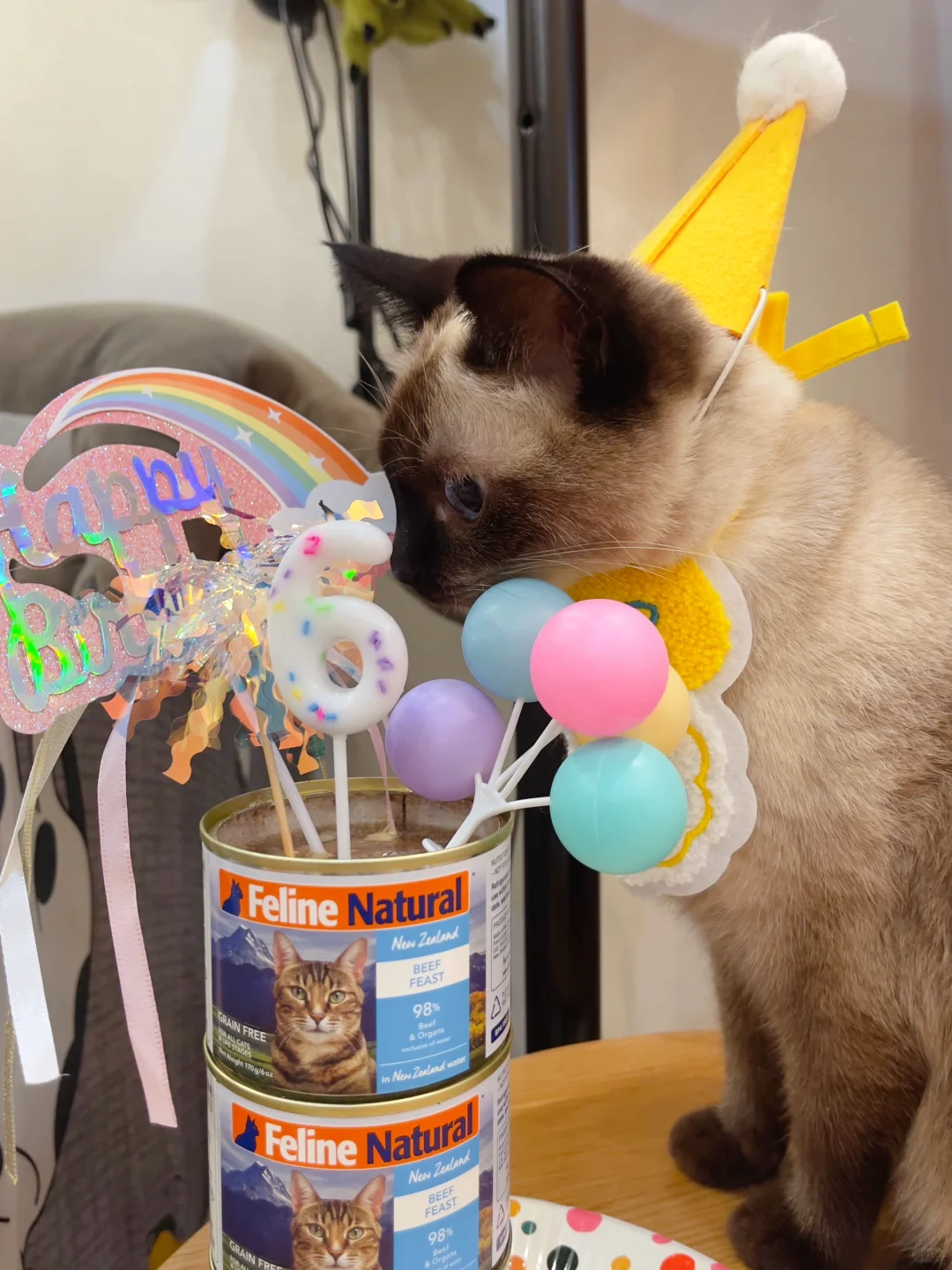 暂停一下！快进来祝小猫生日快乐🎂！