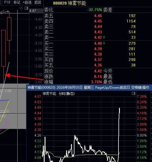 大涨5%+000820神雾节能，恭喜昨天盘中点评的4只股都大涨了，而且有1只是涨