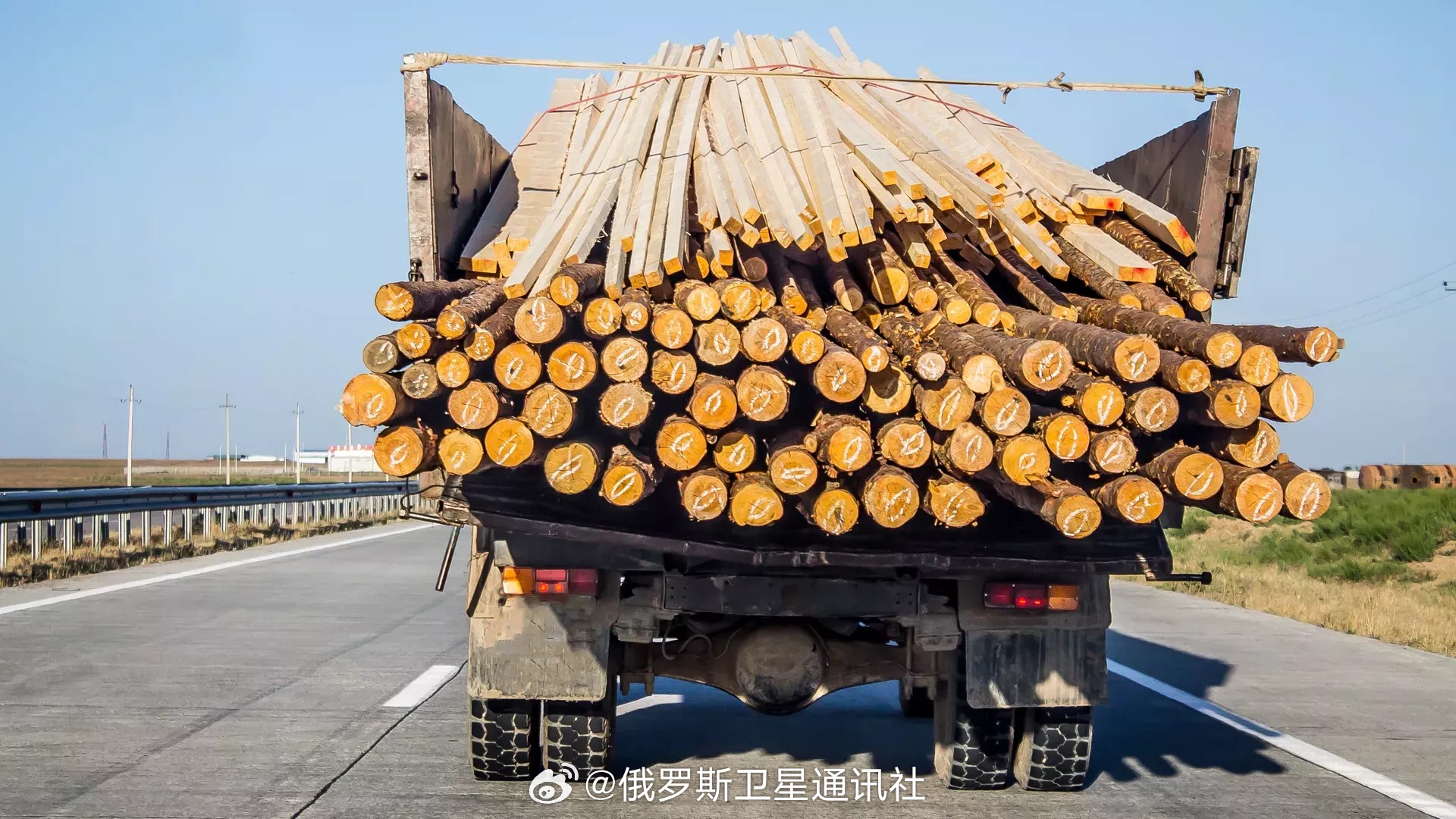 【中国成为俄沃洛格达州林产品主要进口国】俄罗斯联邦动植物卫生监督局新闻处表示，中