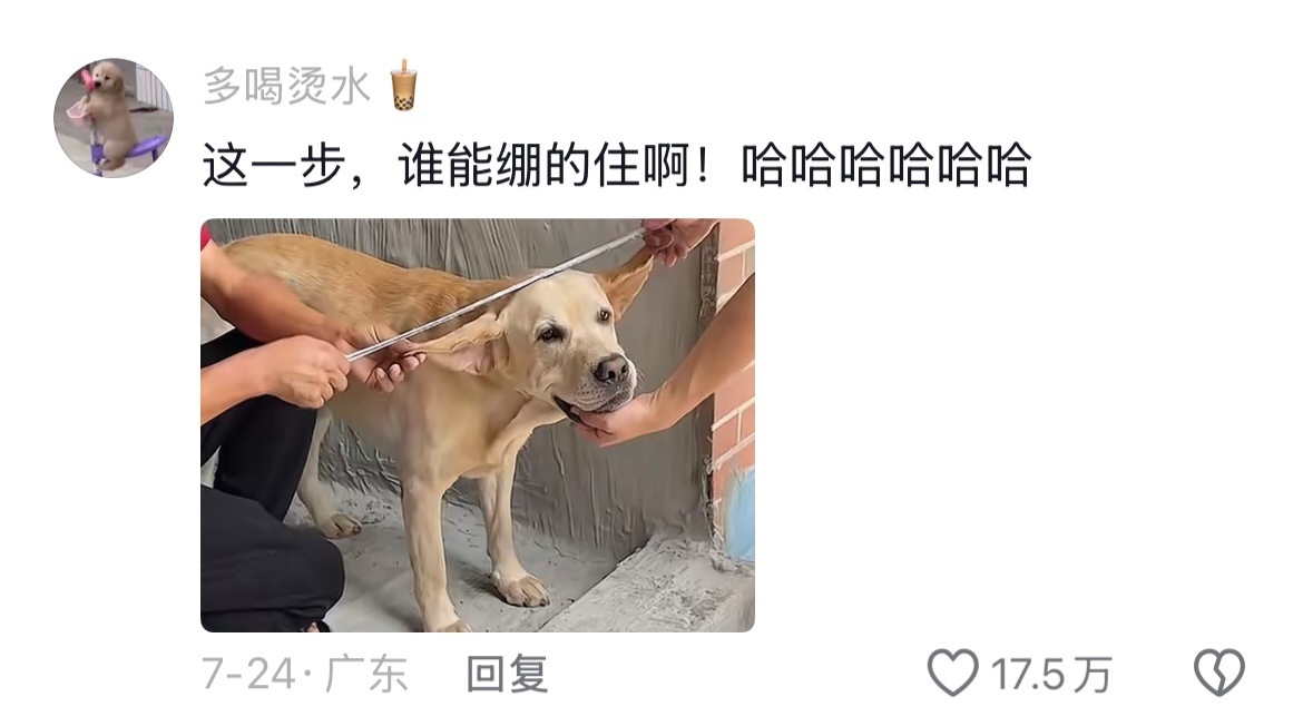 2026湾区升明月节目单🐶：这就没必要了吧[捂嘴哭]第一次见装修不量房屋尺寸，