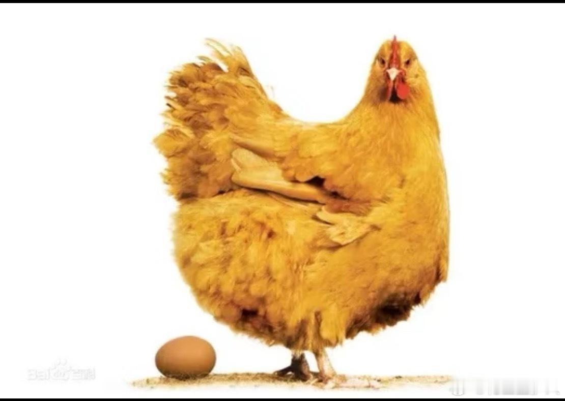哦说起来，要是B蛋队友在纪录片里说B蛋天天请他们吃饭B母🐓会不会直接气的鸡毛乱