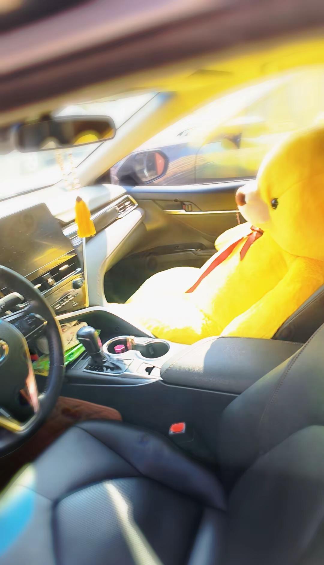 许你一个阳光充足的角落，一颗不再四处张望的心，一段安宁的小憩。