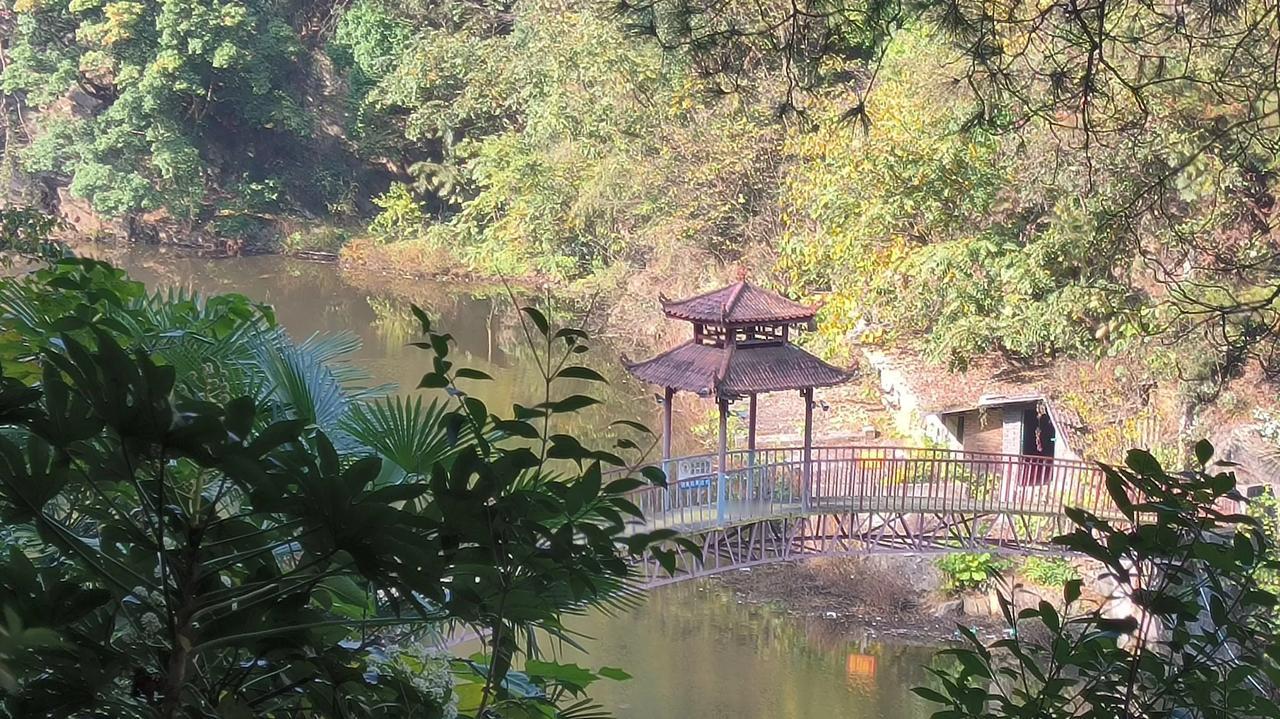 #公园美丽景随拍#