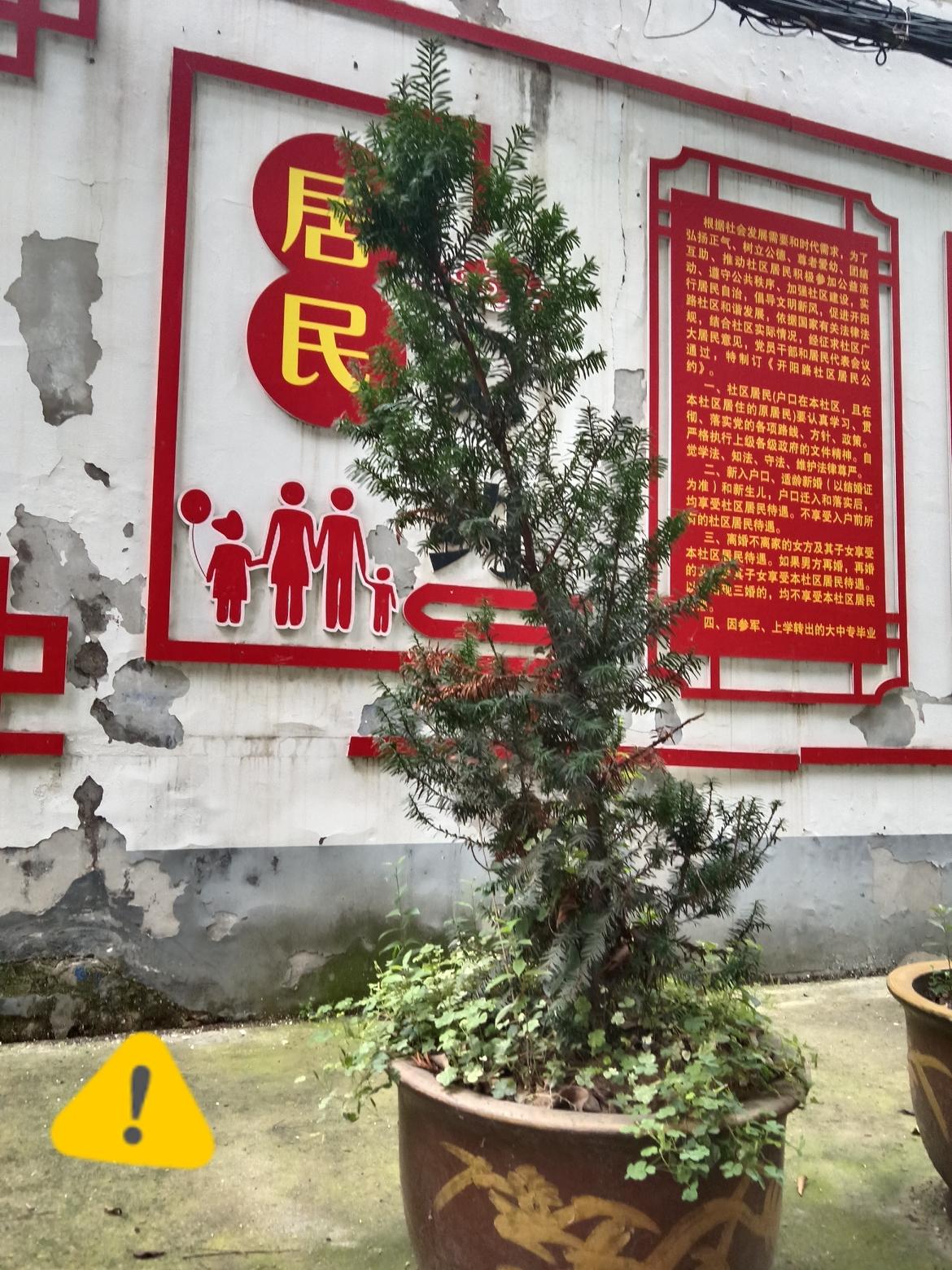 在家没事干真的容易胡思乱想、越躺越焦虑。其实最好的消遣，不是刷短视频熬时间，而是