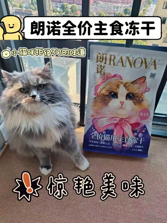 是谁家猫咪这么挑食啊😨