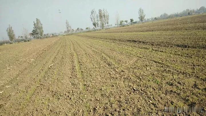 都说今年会成为最冷的冬天，真的吗？今天已立冬了，俺这边白天好热，气温有二十多度，