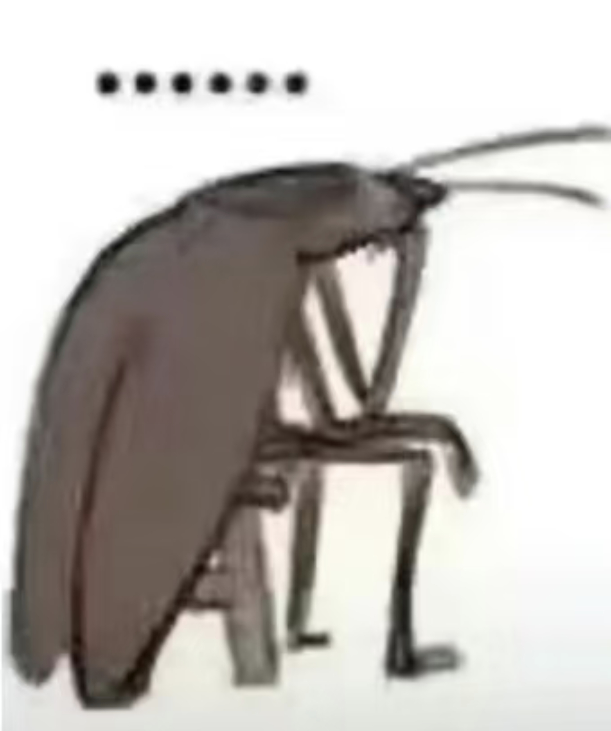 这个世界上只有我一个人在窝囊的活着吗？为什么我的信息茧房是少跟人把冲突升级，在这