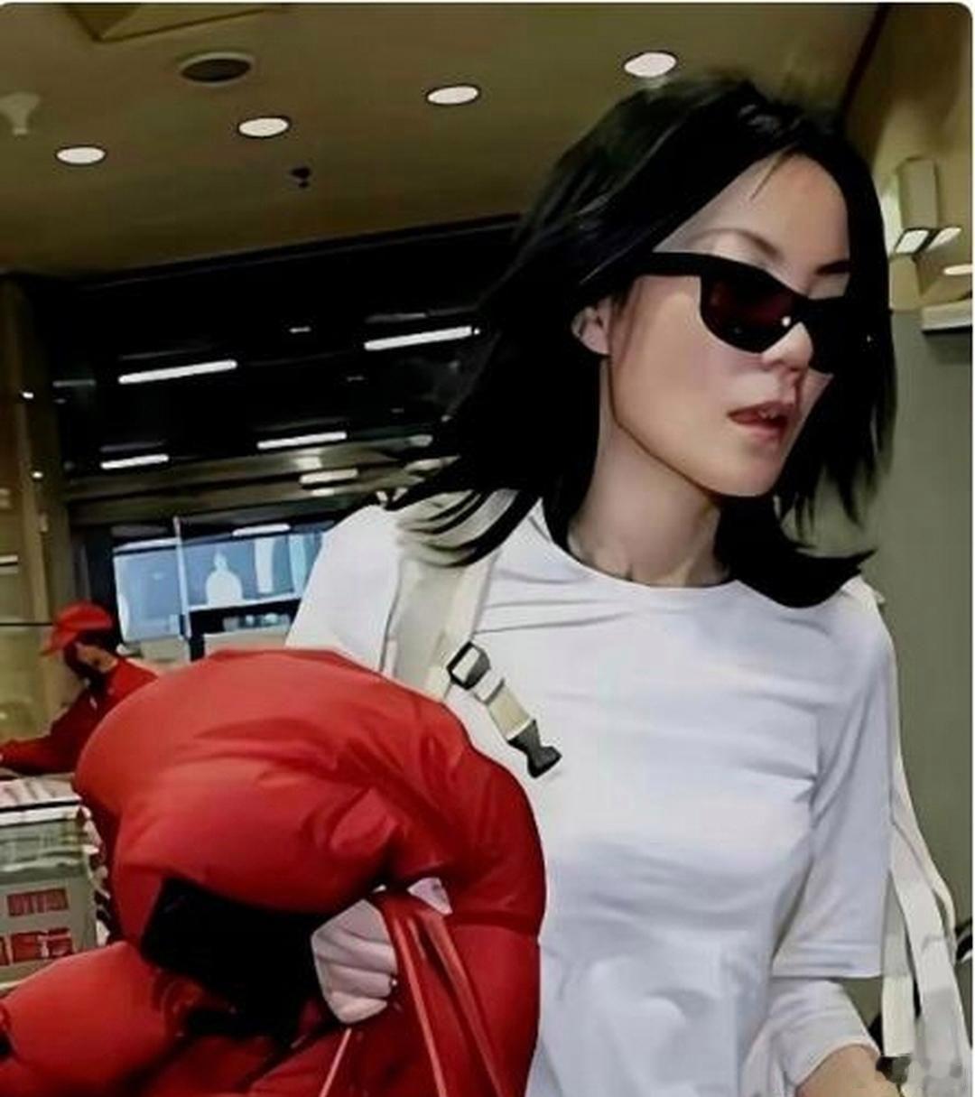 别再把王菲以及刘嘉玲拿来比较消费情况了, 根本就不是处于同一个量级的。王菲购买爱