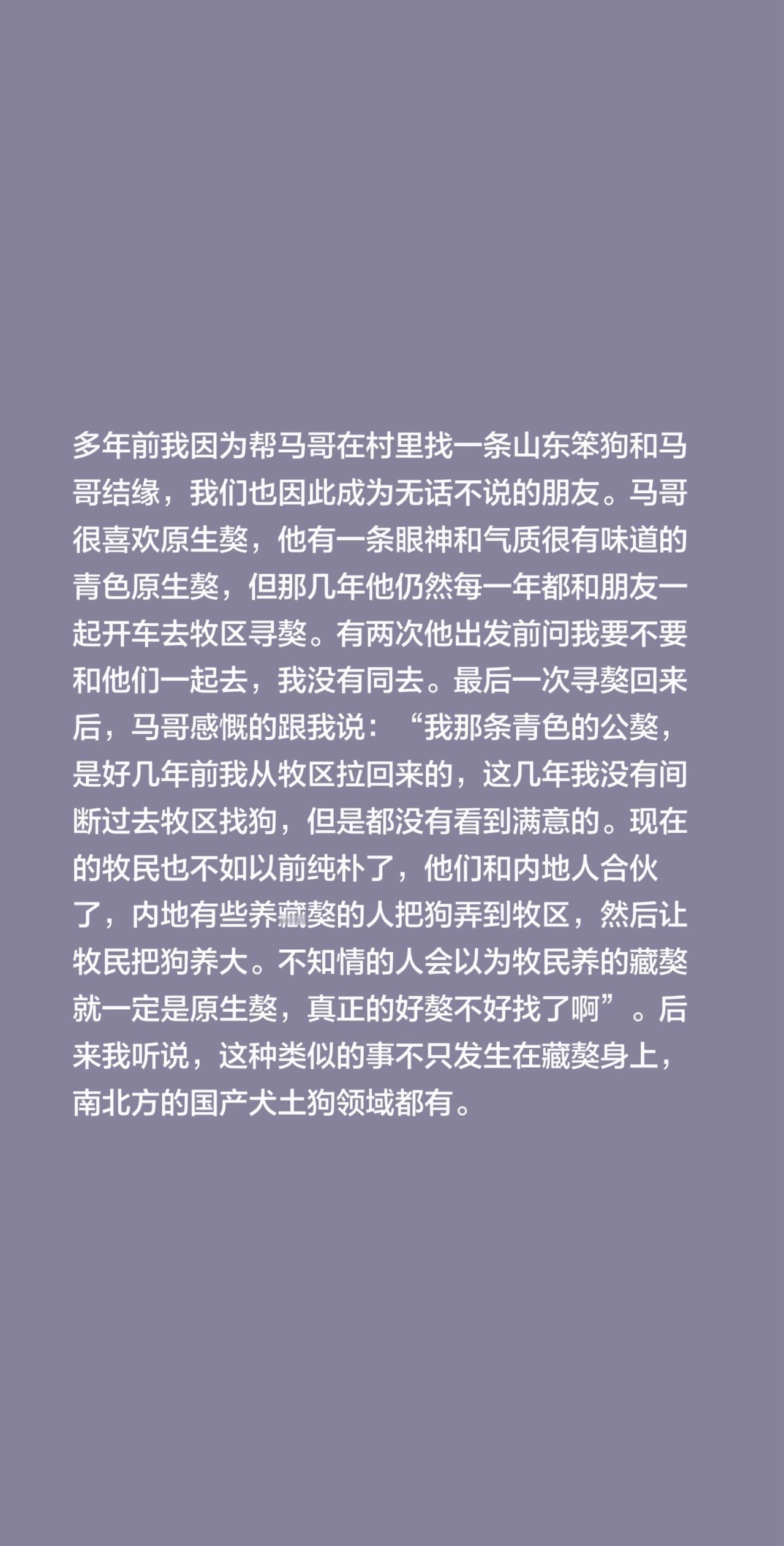 多年前我因为帮马哥在村里找一条山东笨狗和马哥结缘，我们也因此成为无话不说的朋友。
