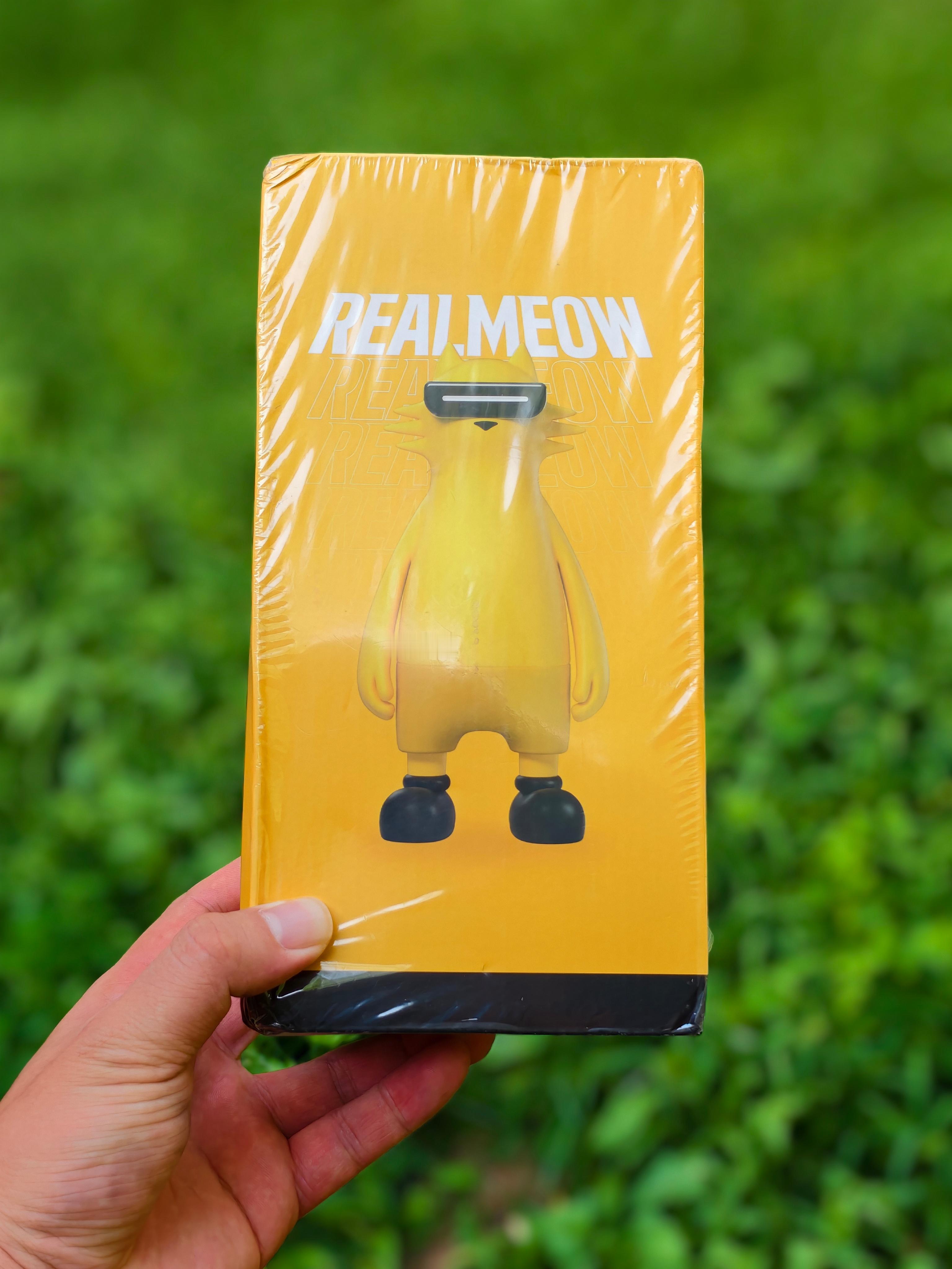 淘到一只全新未拆封的『真奇喵』🐱 ​​​