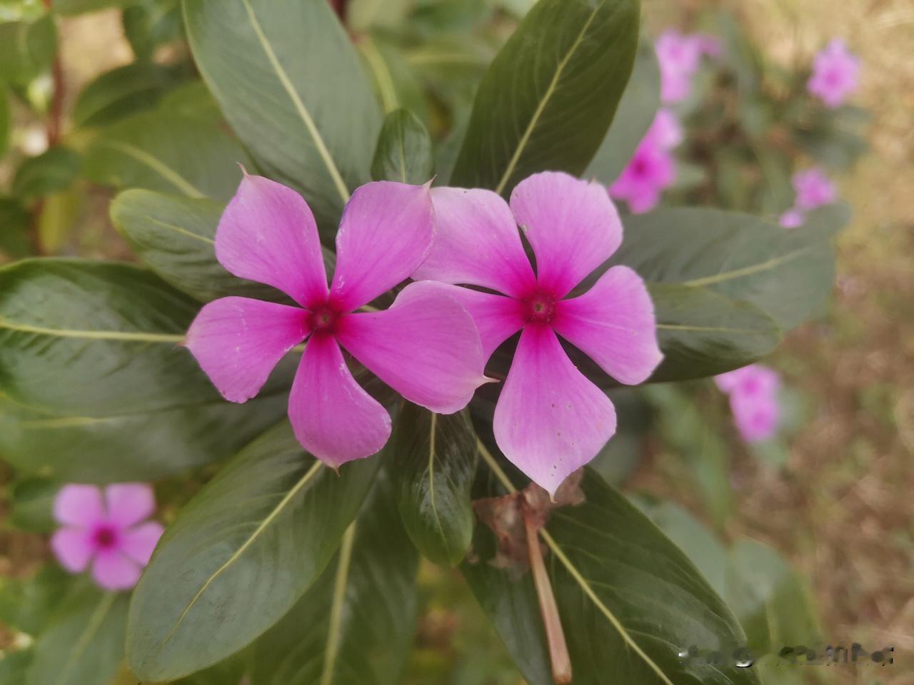 冬天热敷就是大补。家里没有热水袋，热敷不成。可是，我也不想花钱。我看见家里有喝过