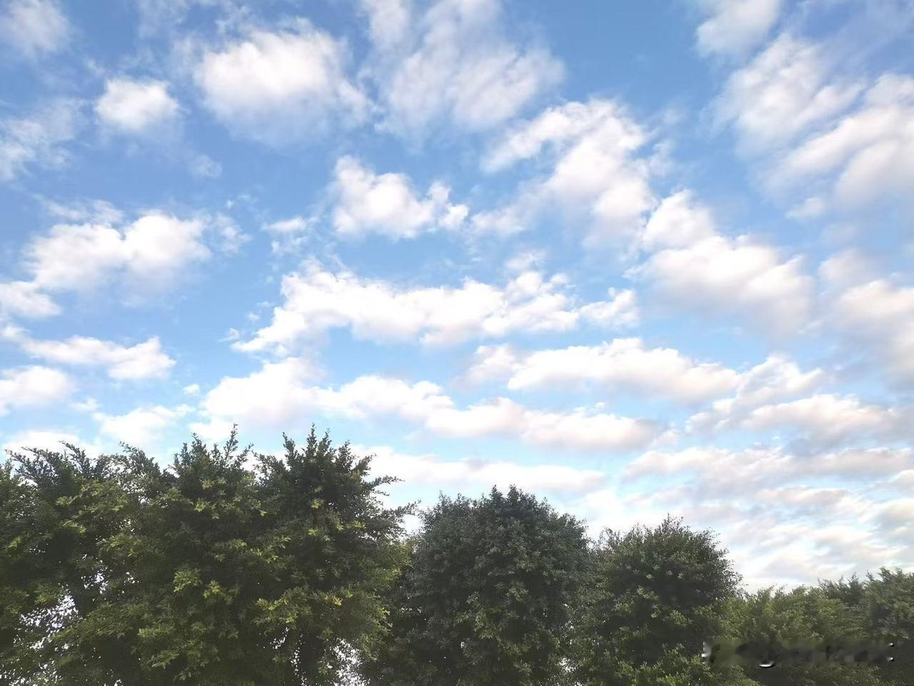 前阵子降温，我租的老房子却比邻居家暖和不少，一直以为是运气好。直到上周水管漏水，