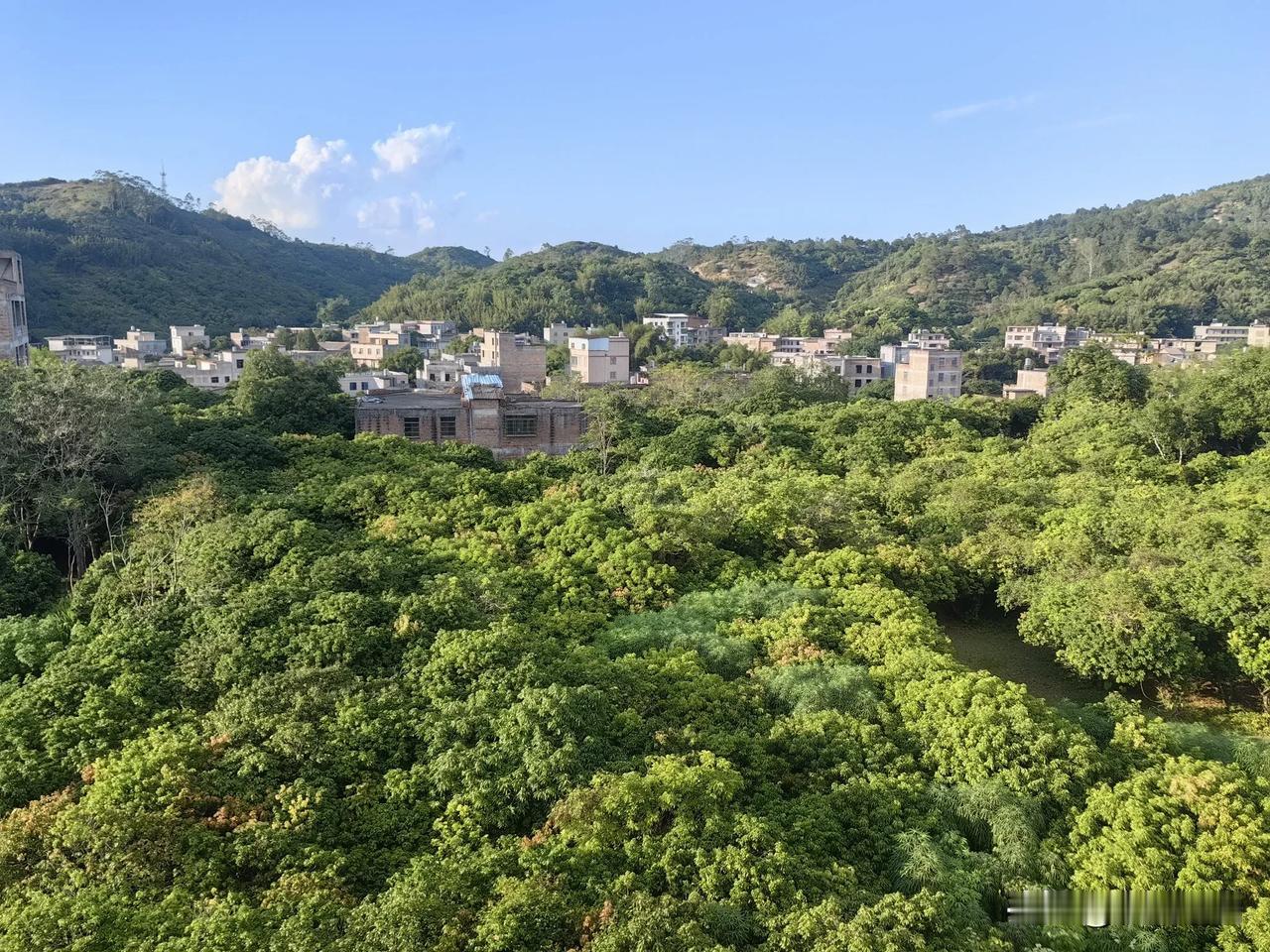 随手拍乡下自然风景乡村的一角