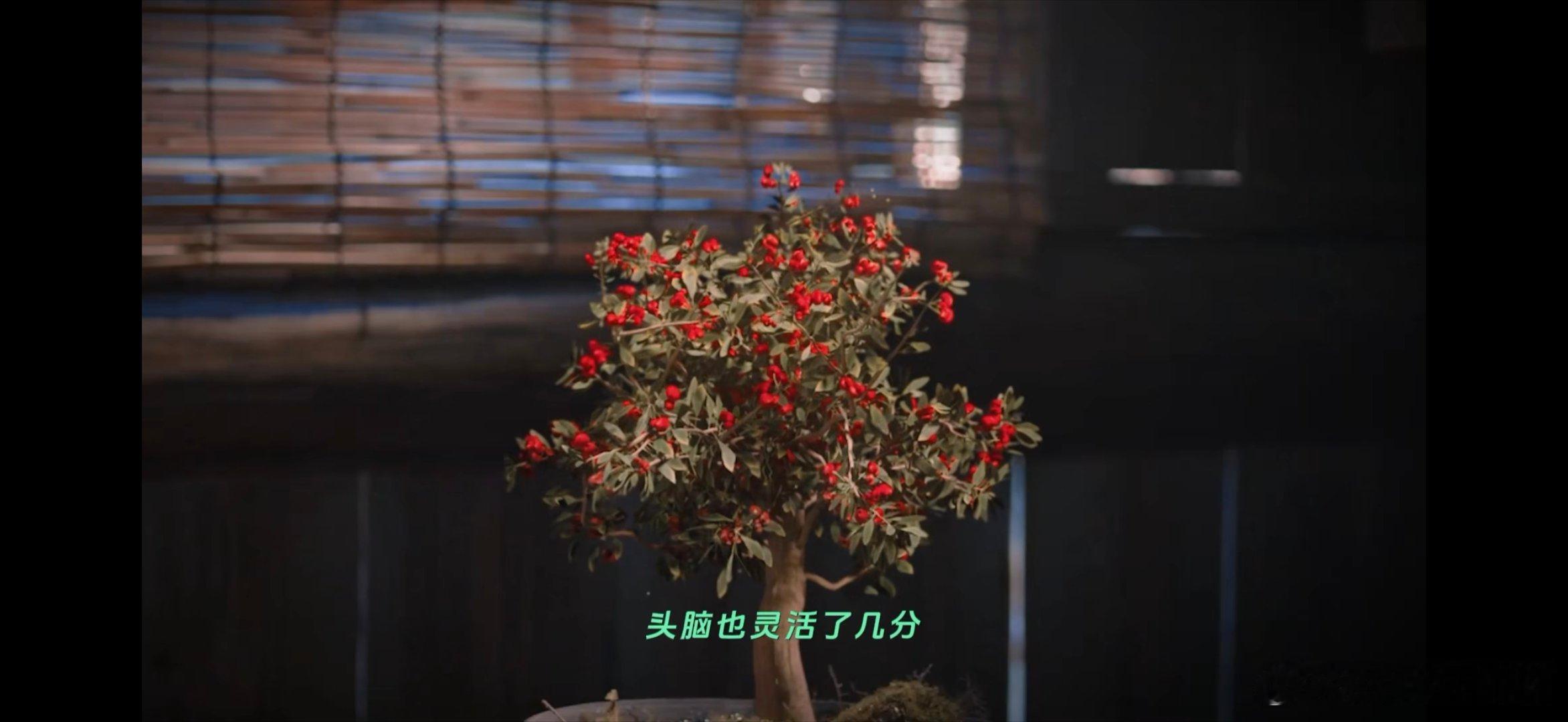 杨洋凡人修仙的DNA暴露了 首先剧情紧凑是真的有，其次就是杨洋与这个角色的适配度