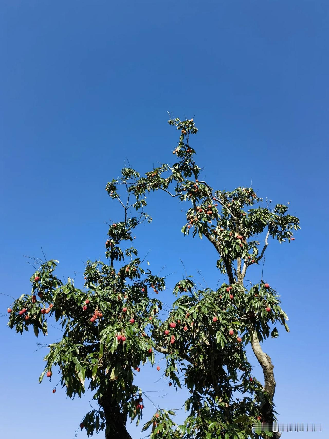 以前我一直喜欢讲理
我现在明白了
跟那些不讲理的人不需要讲道理
因为每个人站的角