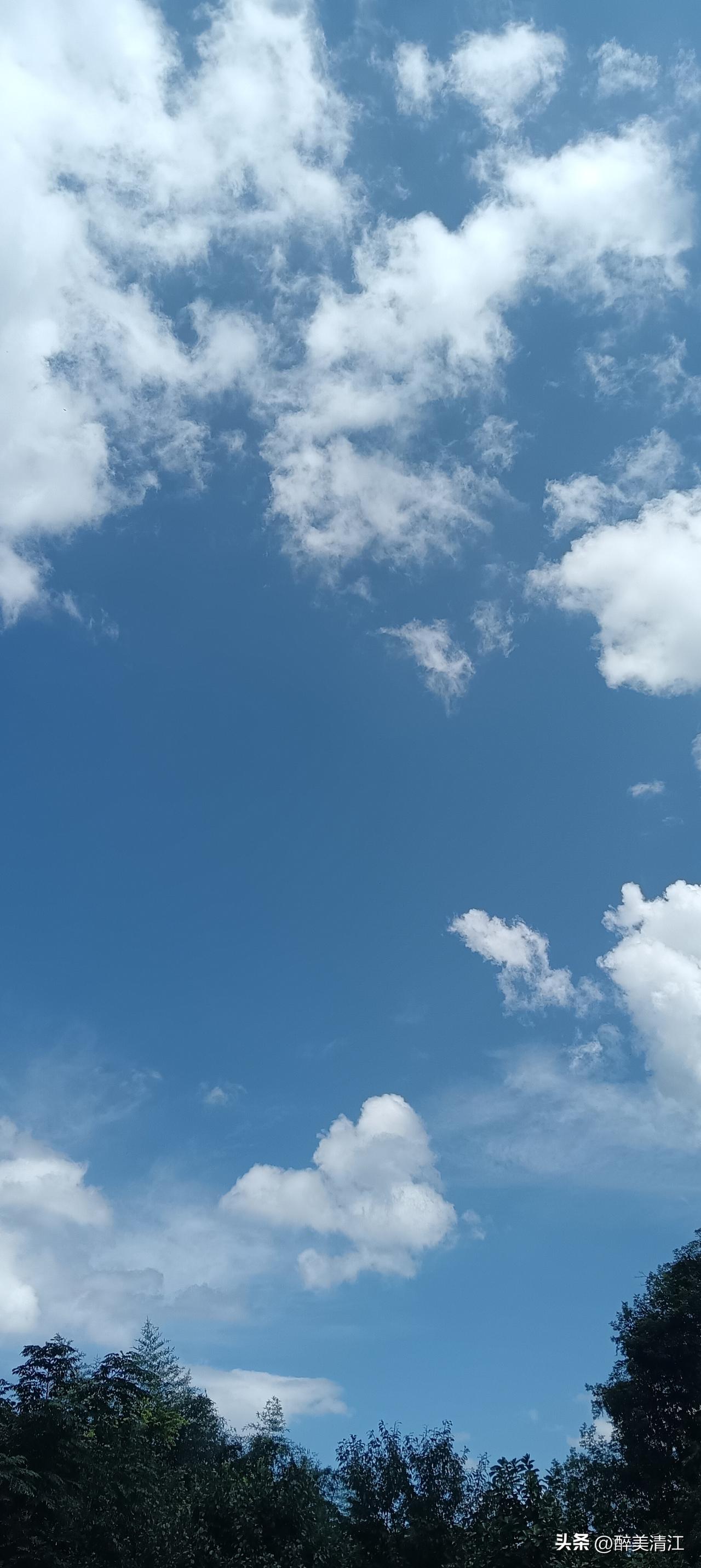 夏日生活打卡季