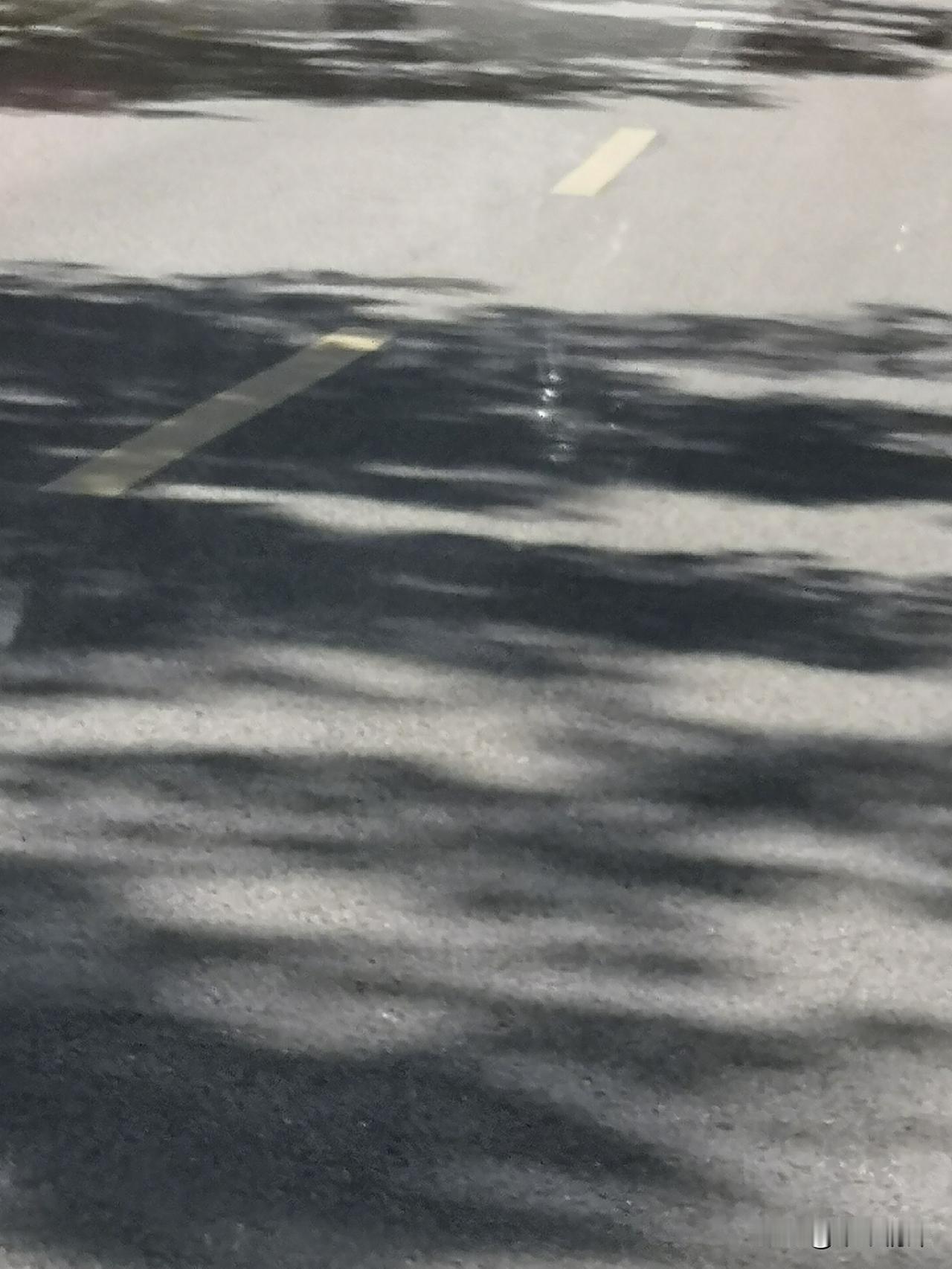 你们有摘过花生吗在老家中江县农村，田里面点的花生是用手摘的，一边用手折，一边吃花